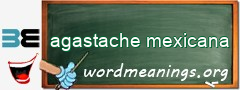 WordMeaning blackboard for agastache mexicana